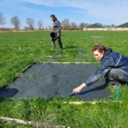 Screenshot Klei in veen waddenproef