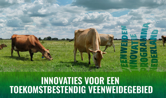 Vip Nl VIPNL – Innovaties voor een toekomstbestendig veenweidegebied