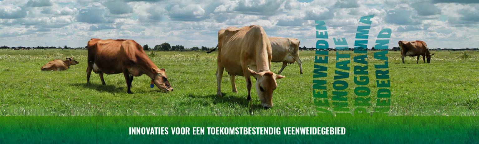 Vip Nl VIPNL – Innovaties voor een toekomstbestendig veenweidegebied